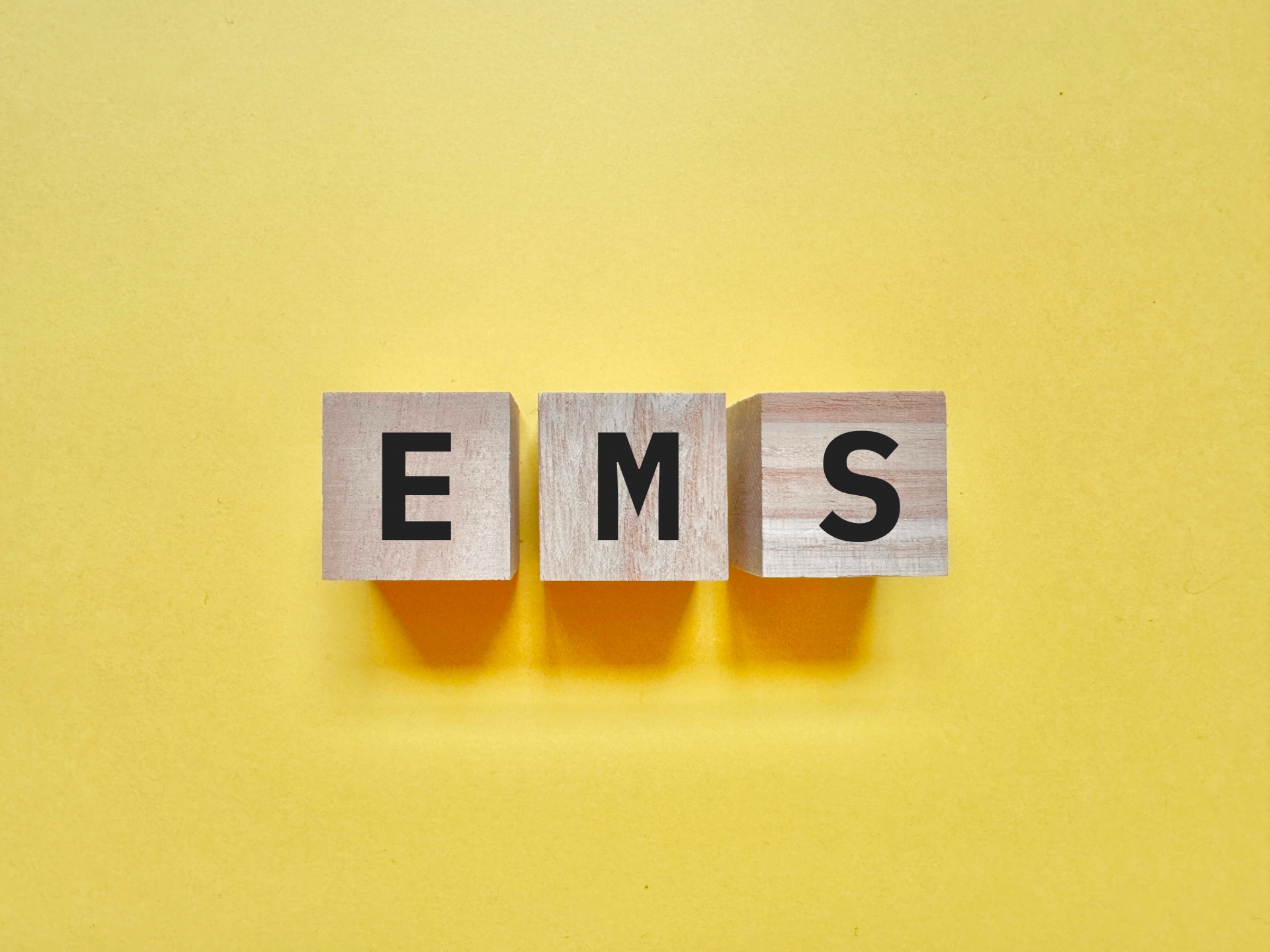 文字ブロック EMS（参考イメージ）